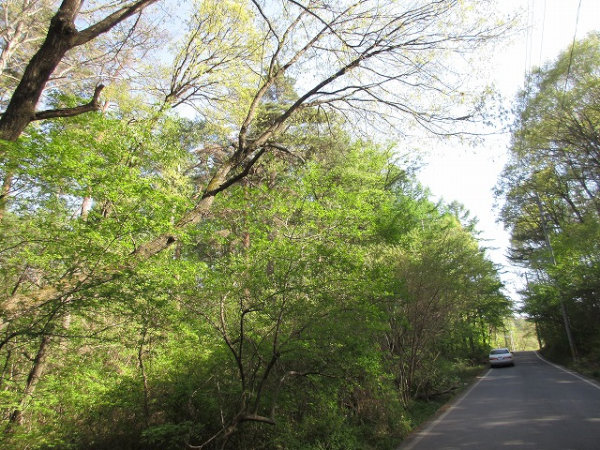 小諸ハイランド別荘地、公道に面する立地の画像：NO.B130902-b4